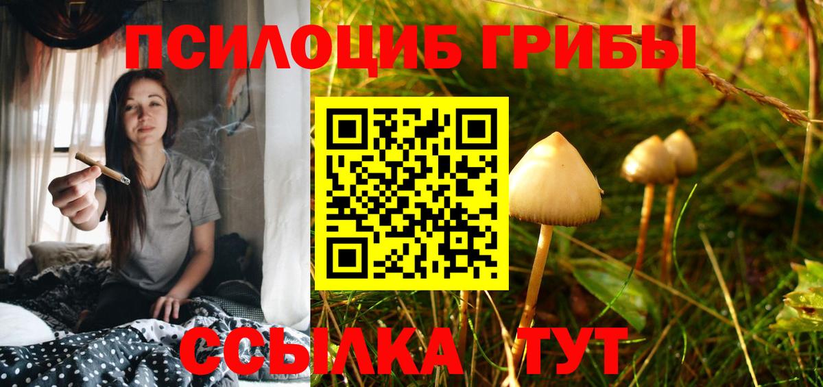наркота  Вход с VPN  Благовещенск  Галлюциногенные грибы Psilocybine cubensis 