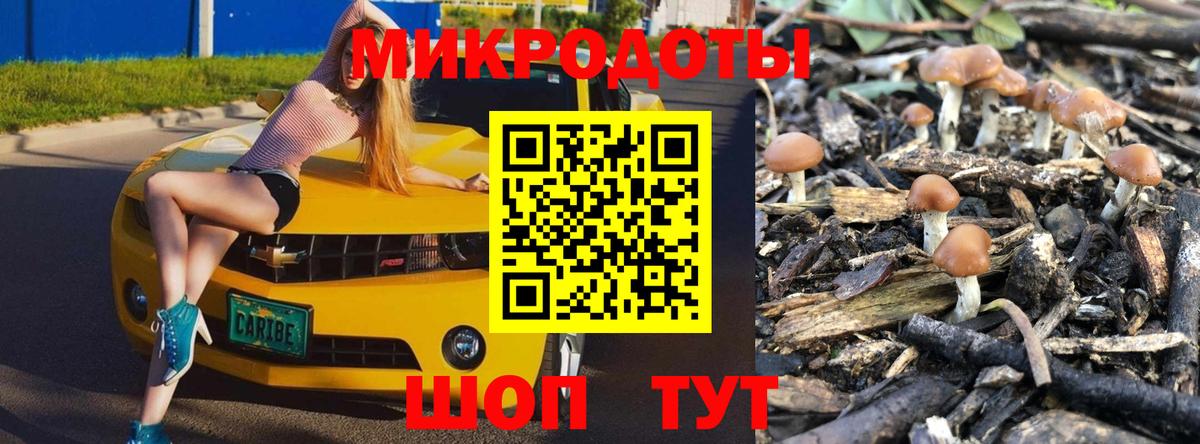 Галлюциногенные грибы прущие грибы Благовещенск